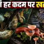 ब्राजील का पैंटानल: अमेजन से अलग, जहाँ पानी और दलदल में बसती है रहस्यमयी दुनिया | world news