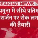 गणपति विसर्जन के लिए दिल्ली में 81 कृत्रिम कुंड तैयार, यमुना में मूर्ति विसर्जन पर रोक | delhi news