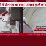 दिल्ली में आवारा कुत्ते ने 18 महीने के बच्चे पर किया हमला, सीसीटीवी में कैद हुई घटना | delhi news