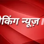 सूडान में सोने की खदान धंसने से 11 मजदूरों की मौत, एक हफ्ते में दूसरा बड़ा हादसा | world news