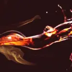 बेंगलुरु में पत्नी पर जानलेवा हमला, मदुरै से 400 किमी दूर से आया था आरोपी पति | bangalore crime news