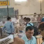 राजस्थान के 273 निकायों में आज चुने जाएंगे मेयर और सभापति, राजनीतिक दलों की धड़कनें तेज | rajasthan politics news
