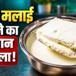 दूध पर मलाई जमाने के लिए अपनाएं ‘156 फॉर्मूला’, जानिए क्या है सही तरीका | how to get thick malai
