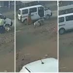 सूरत में स्कूल वैन चालक पर आवारा कुत्ते का खतरनाक हमला, सीसीटीवी में कैद हुई घटना | surat news
