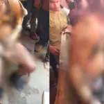 हैदराबाद की कबाड़ दुकान में जोरदार धमाका, आग की चपेट में आने से मालिक गंभीर रूप से झुलस | hyderabad news
