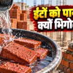 घर बनाने से पहले ईंटों को पानी में क्यों भिगोया जाता है, जानिए इसके पीछे का वैज्ञानिक कारण | general news