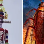 दिल्ली में इस बार अनूठे अंदाज में मचेगा रावण दहन, प्रदूषण से लेकर नकली दवाओं तक पर प्रहार | delhi news