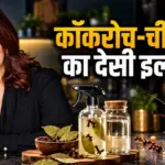 रसोई से कॉकरोच और चींटियां भगाने का आसान घरेलू उपाय | lifestyle news