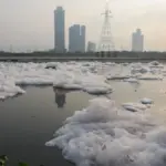 दिल्ली-एनसीआर में बढ़ता प्रदूषण और यमुना का जहरीला झाग बना चिंता का विषय | delhi ncr pollution