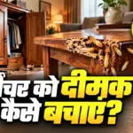 घर के फर्नीचर को दीमक से बचाने के आसान और असरदार उपाय | lifestyle news