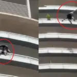 नोएडा की सुपरनोवा सोसाइटी में 43वीं मंजिल से कूदकर युवक ने दी जान, नया वीडियो आया सामने | noida news