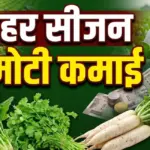 सर्दियों में इन सब्जियों की खेती से होगी बंपर कमाई, जानिए मुनाफे का पूरा गणित | agriculture news