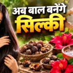 केमिकल वाले शैंपू को कहें अलविदा, घर पर बनाएं रीठा और गुड़हल का नेचुरल शैंपू | lifestyle news